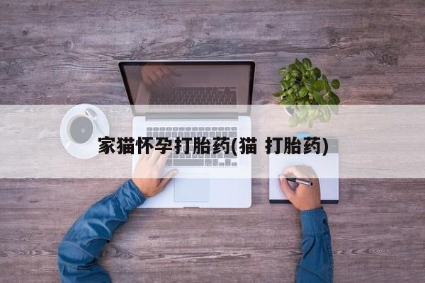 买流产药的联系方式家猫怀孕打胎药(猫 打胎药)